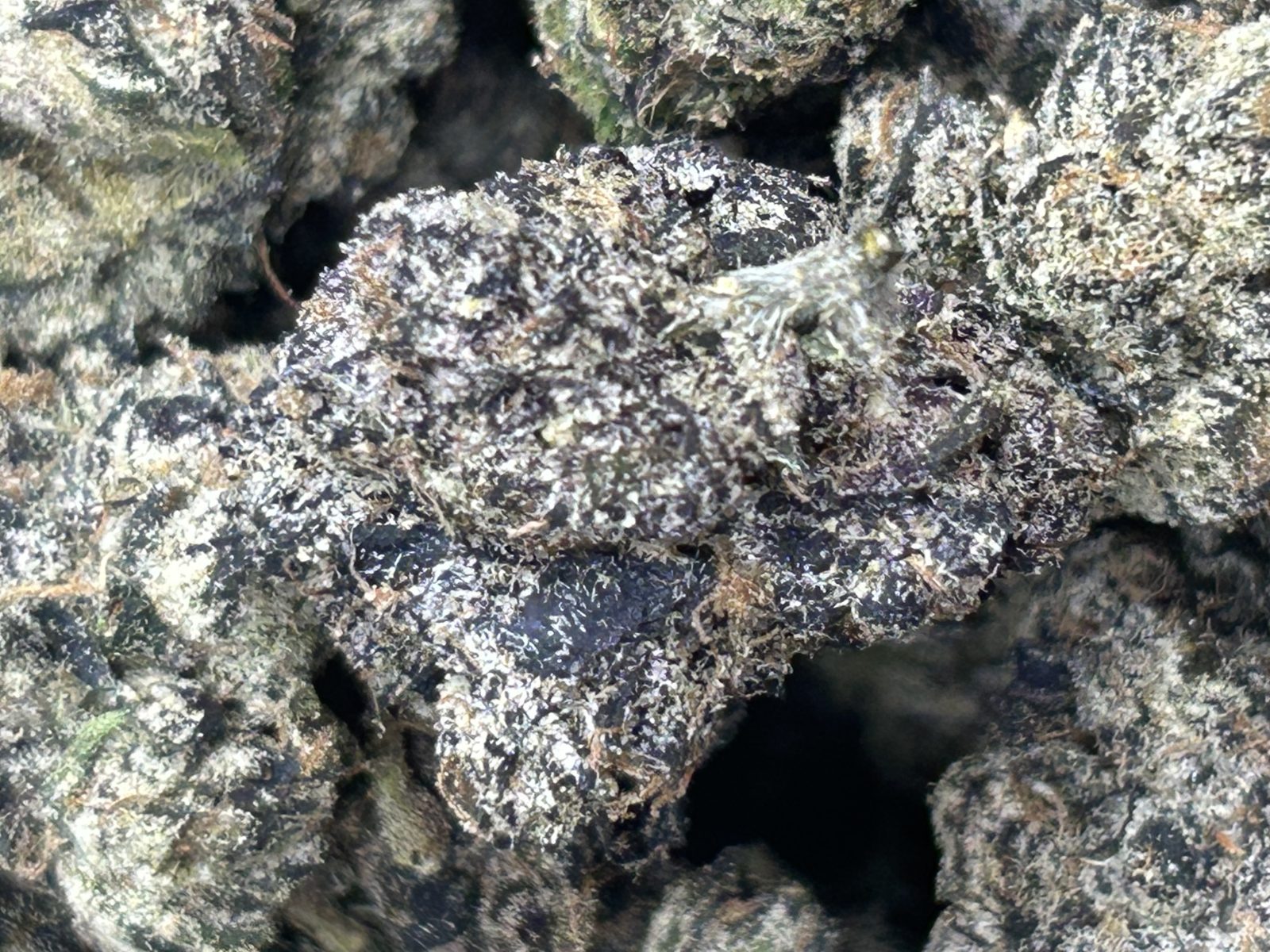Cherry Cola