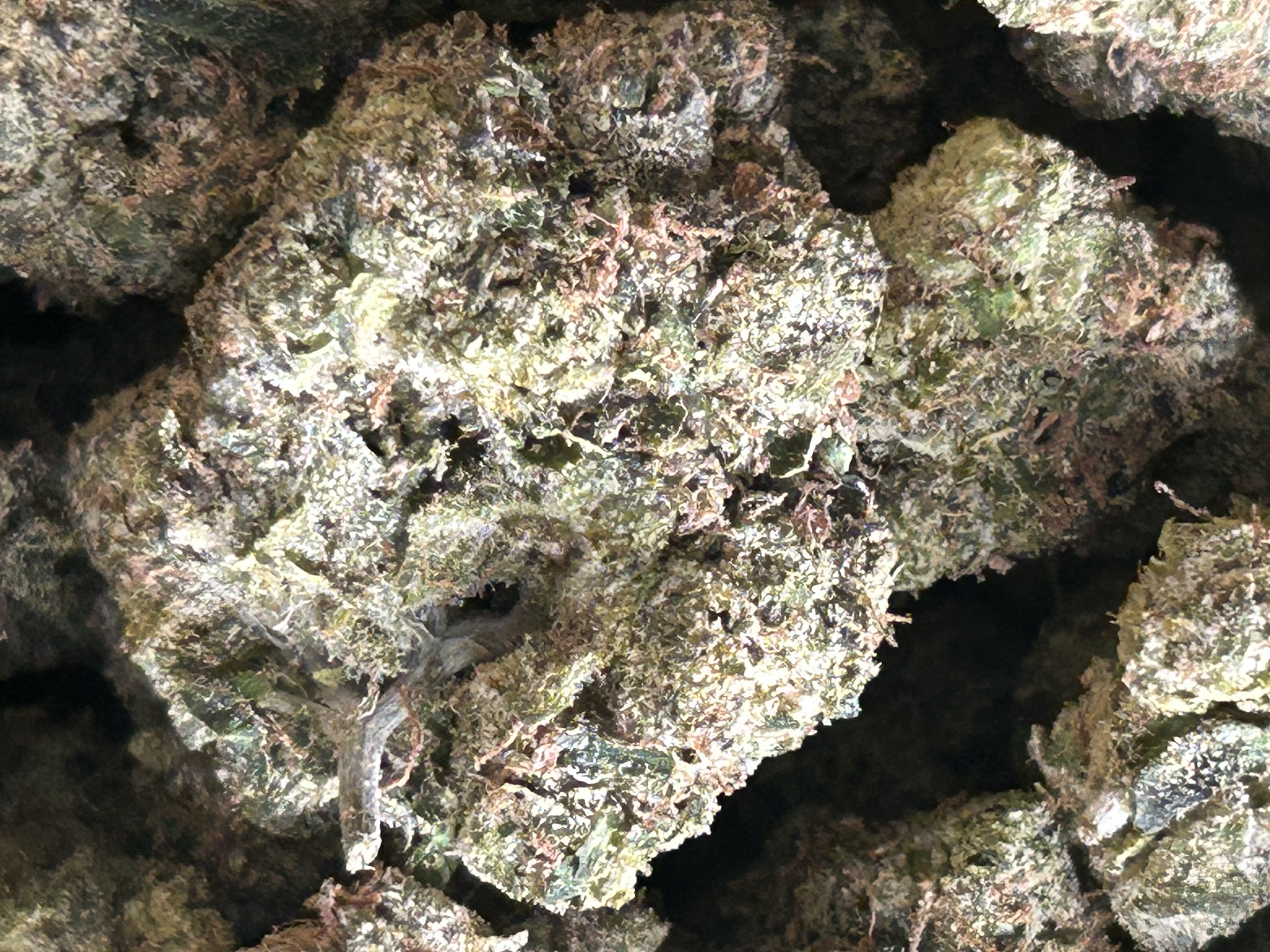 Lemon Mac