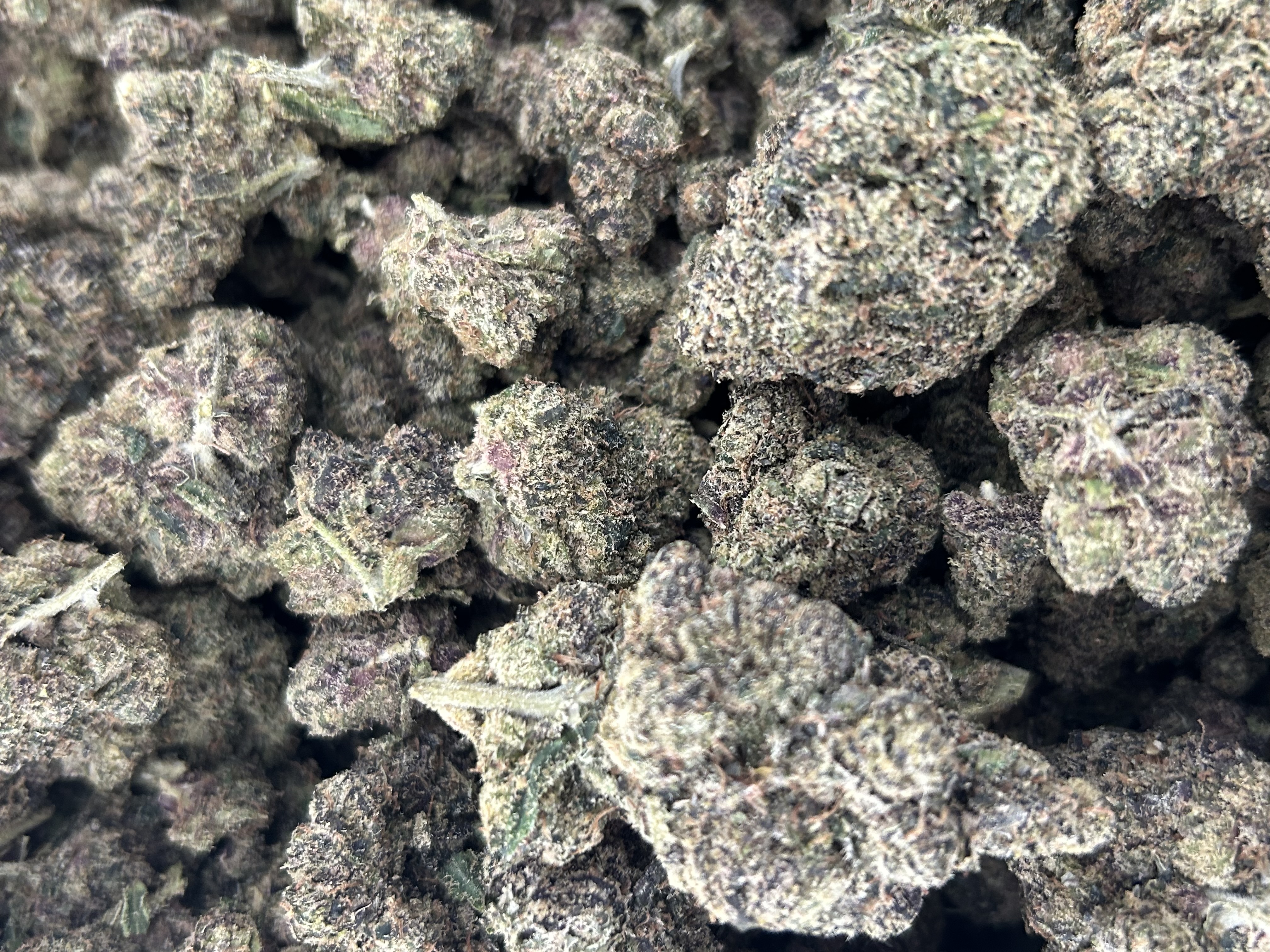 Purple Ice