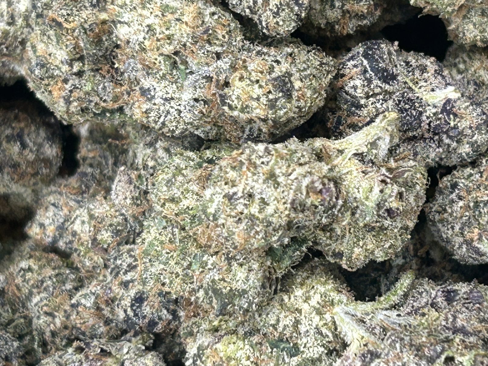 White Runtz